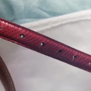 Vintage Cece Kieselstein-Cord Red Lizard Skin Belt with Gold Buckle Kieselstein-Cord Belts for Women for sale | eBay main image 4